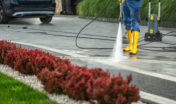 Best Pool Deck Cleaning  in Louisiana, MO